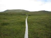 Starting up the Pinnell Mountain Trail